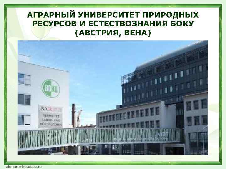 АГРАРНЫЙ УНИВЕРСИТЕТ ПРИРОДНЫХ РЕСУРСОВ И ЕСТЕСТВОЗНАНИЯ БОКУ (АВСТРИЯ, ВЕНА) 