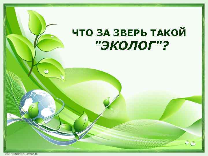 ЧТО ЗА ЗВЕРЬ ТАКОЙ "ЭКОЛОГ"? 