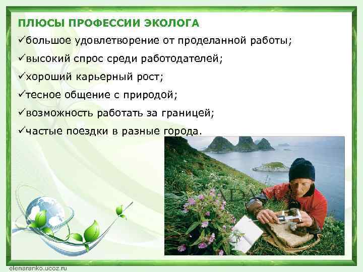 ПЛЮСЫ ПРОФЕССИИ ЭКОЛОГА üбольшое удовлетворение от проделанной работы; üвысокий спрос среди работодателей; üхороший карьерный