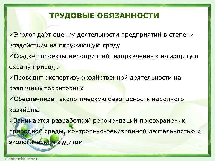 Должностная инструкция эколога на предприятии образец