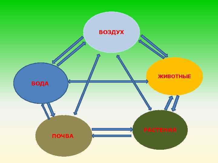 ВОЗДУХ ЖИВОТНЫЕ ВОДА ПОЧВА РАСТЕНИЯ 