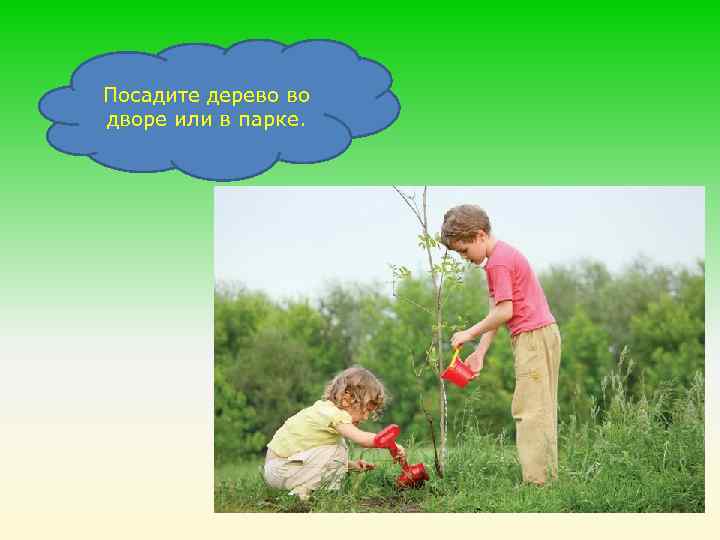 Посадите дерево во дворе или в парке. 