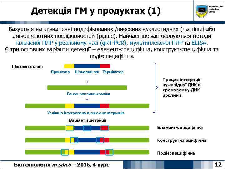 Детекція ГМ у продуктах (1) Базується на визначенні модифікованих /внесених нуклеотидних (частіше) або амінокислотних