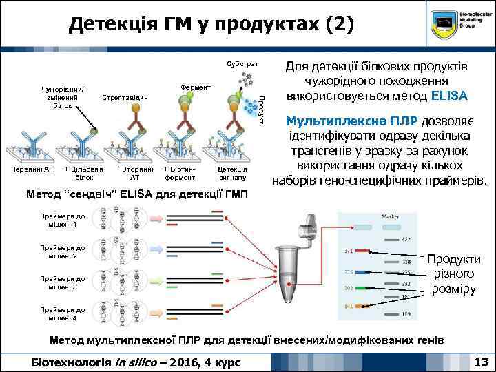 Детекція ГМ у продуктах (2) Субстрат Первинні АТ Фермент Стрептавідин + Цільовий білок +