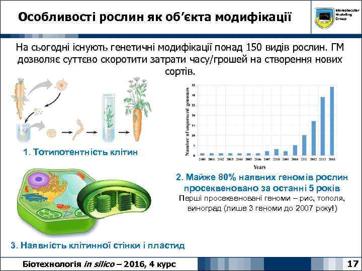 Особливості рослин як об’єкта модифікації На сьогодні існують генетичні модифікації понад 150 видів рослин.