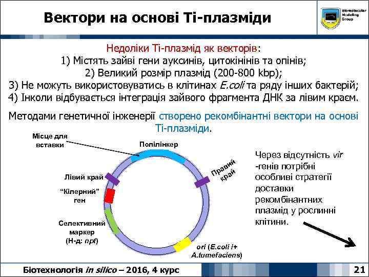 Вектори на основі Ti-плазміди Недоліки Ті-плазмід як векторів: 1) Містять зайві гени ауксинів, цитокінінів