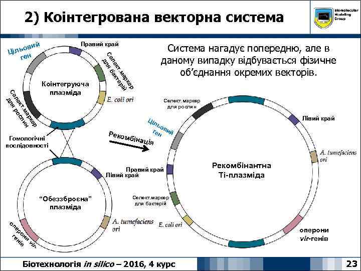 2) Коінтегрована векторна система вий ільо Ц ген Правий край р ке ар й.