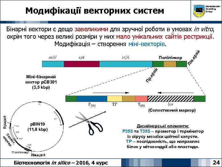 Модифікації векторних систем кр в. Пр Міні-бінарний вектор p. CB 301 (3, 5 kbp)