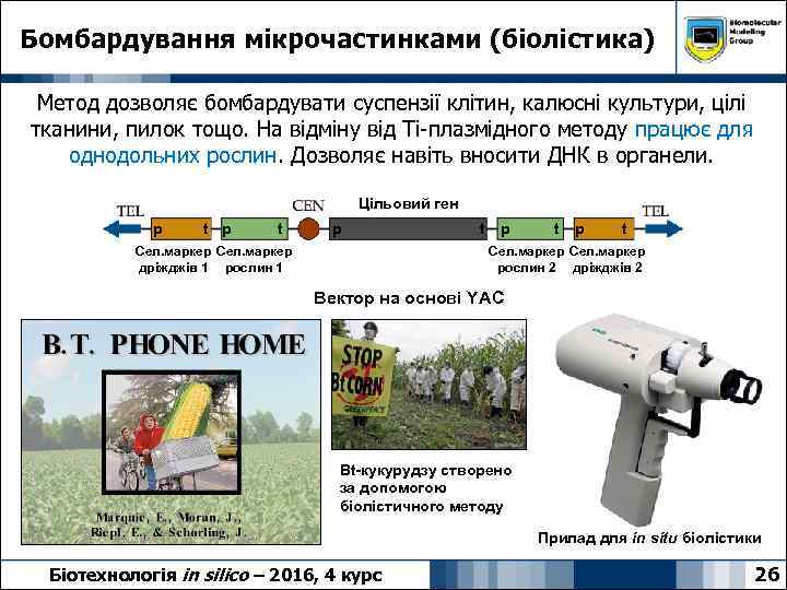 Бомбардування мікрочастинками (біолістика) Метод дозволяє бомбардувати суспензії клітин, калюсні культури, цілі тканини, пилок тощо.