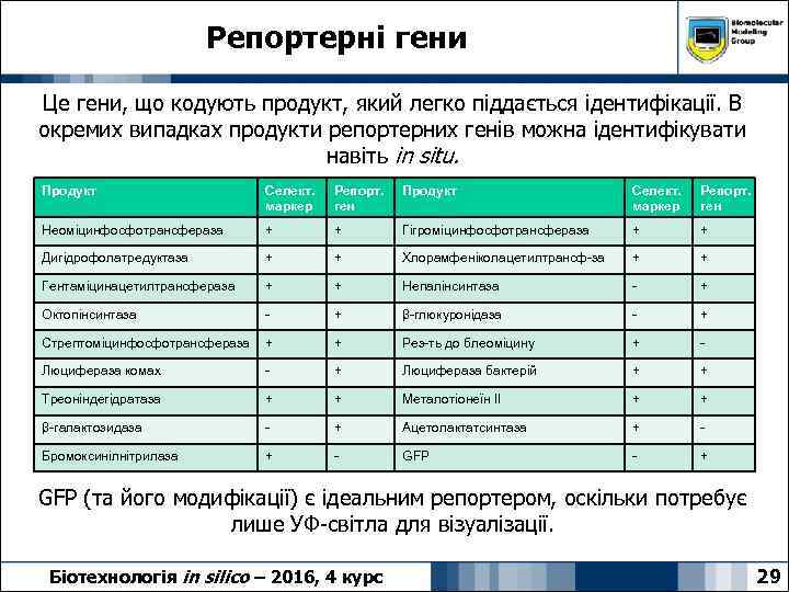 Репортерні гени Це гени, що кодують продукт, який легко піддається ідентифікації. В окремих випадках