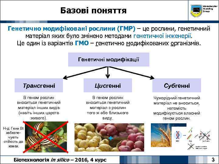 Базові поняття Генетично модифіковані рослини (ГМР) – це рослини, генетичний матеріал яких було змінено