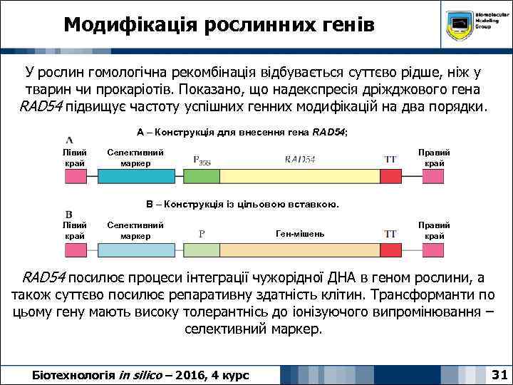 Модифікація рослинних генів У рослин гомологічна рекомбінація відбувається суттєво рідше, ніж у тварин чи