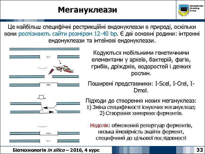 Мегануклеази Це найбільш специфічні рестрикційні ендонуклеази в природі, оскільки вони роспізнають сайти розміром 12