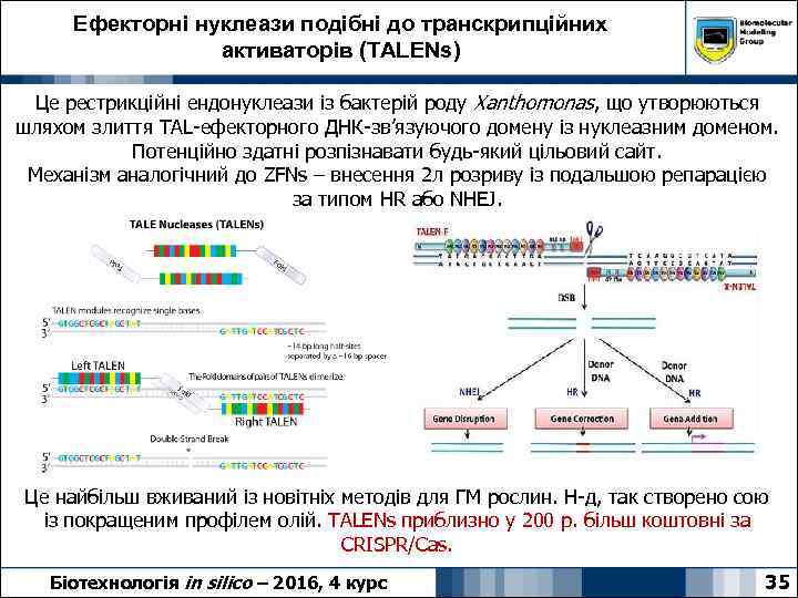 Ефекторні нуклеази подібні до транскрипційних активаторів (TALENs) Це рестрикційні ендонуклеази із бактерій роду Xanthomonas,