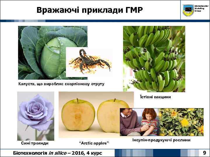 Вражаючі приклади ГМР Капуста, що виробляє скорпіонову отруту Їстівні вакцини Сині троянди “Arctic apples”