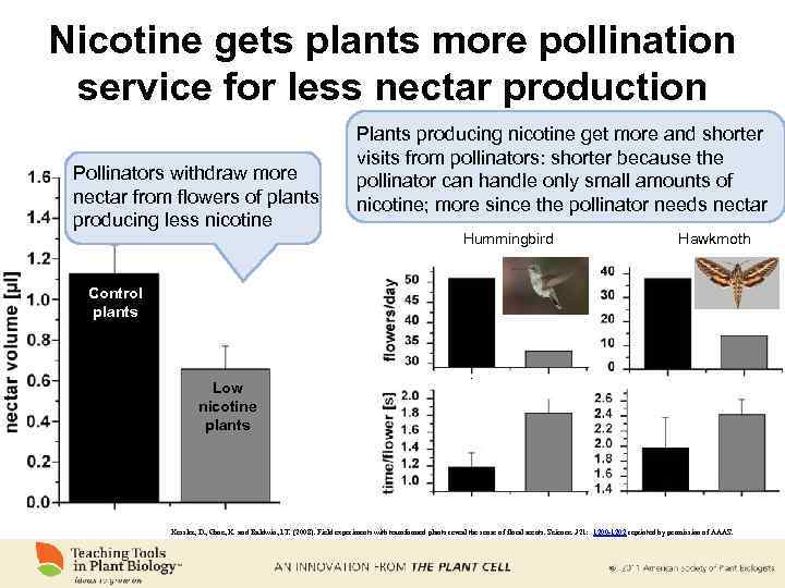 Nicotine gets plants more pollination service for less nectar production Pollinators withdraw more nectar