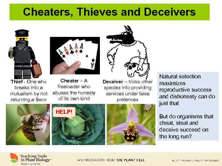 Cheaters, Thieves and Deceivers Thief - One who breaks into a mutualism by not