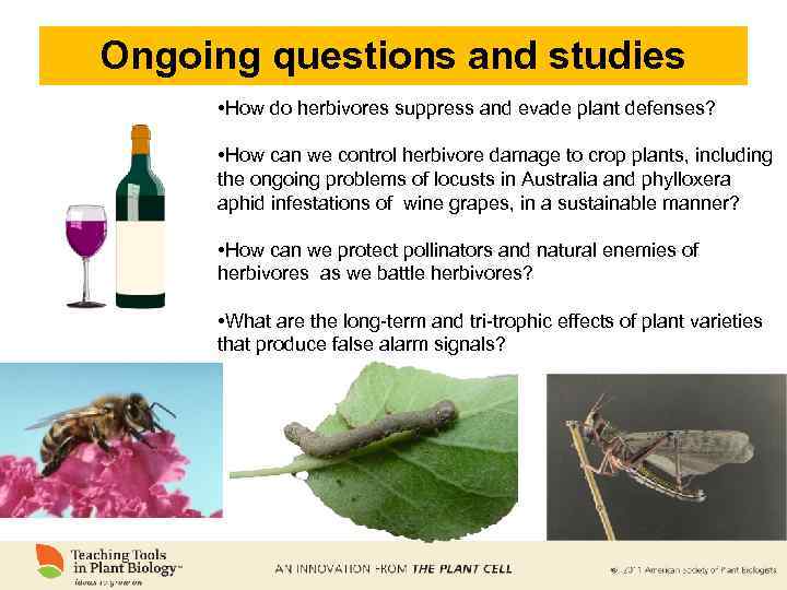 Ongoing questions and studies • How do herbivores suppress and evade plant defenses? •