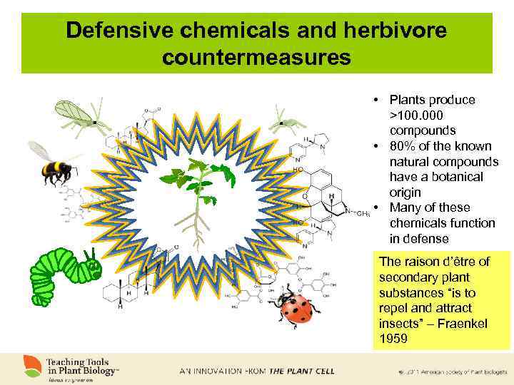 Defensive chemicals and herbivore countermeasures • Plants produce >100. 000 compounds • 80% of