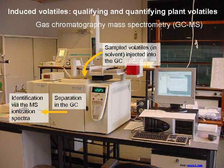 Induced volatiles: qualifying and quantifying plant volatiles Gas chromatography mass spectrometry (GC-MS) Sampled volatiles