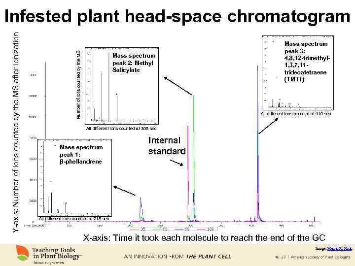 Number of ions counted by the MS Y-axis: Number of ions counted by the