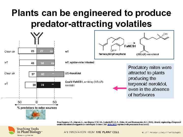 Plants can be engineered to produce predator-attracting volatiles Fa. NES 1 Predatory mites were