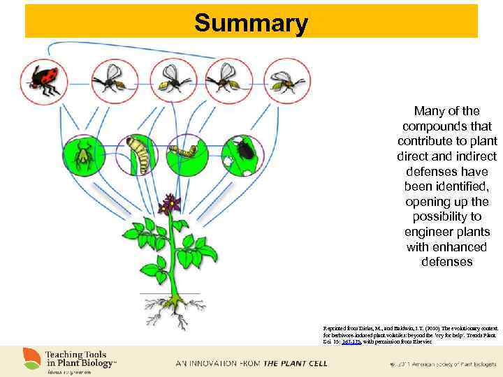 Summary Many of the compounds that contribute to plant direct and indirect defenses have