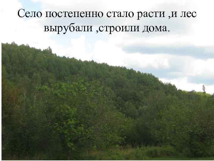 Село постепенно стало расти , и лес вырубали , строили дома. 