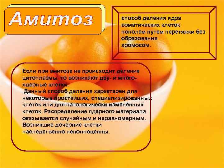 способ деления ядра соматических клеток пополам путем перетяжки без образования хромосом. Если при амитозе