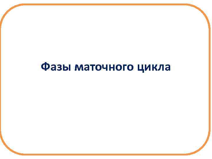 Фазы маточного цикла 