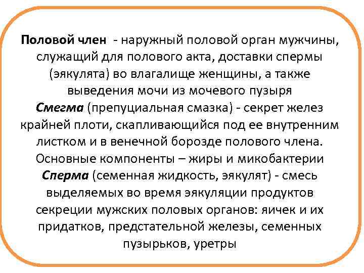 Половой член наружный половой орган мужчины, служащий для полового акта, доставки спермы (эякулята) во