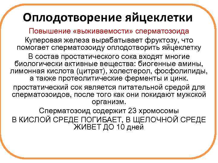 Оплодотворение яйцеклетки Повышение «выживаемости» сперматозоида Куперовая железа вырабатывает фруктозу, что помогает сперматозоиду оплодотворить яйцеклетку