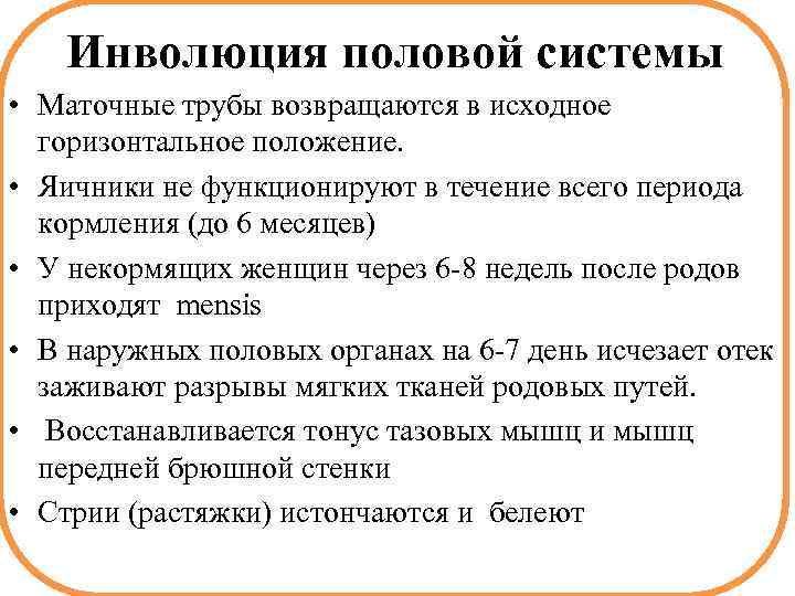 Инволюция половой системы • Маточные трубы возвращаются в исходное горизонтальное положение. • Яичники не