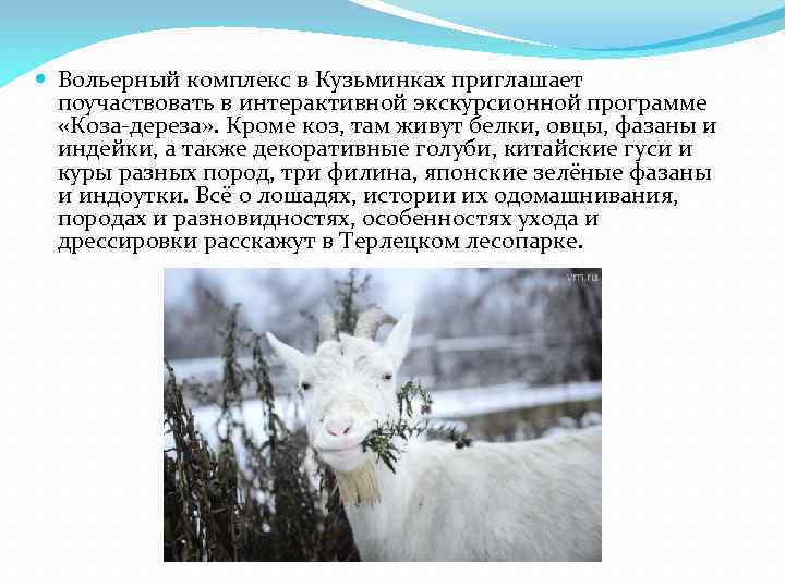  Вольерный комплекс в Кузьминках приглашает поучаствовать в интерактивной экскурсионной программе «Коза-дереза» . Кроме