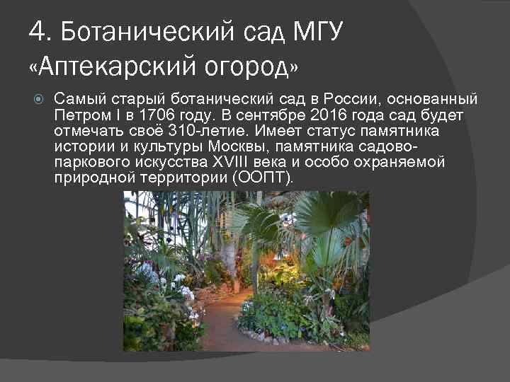 4. Ботанический сад МГУ «Аптекарский огород» Самый старый ботанический сад в России, основанный Петром