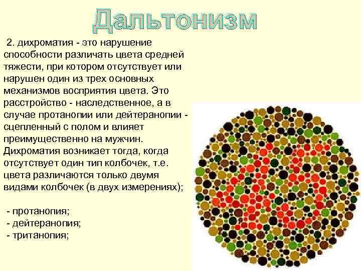 Дальтонизм 2. дихроматия - это нарушение способности различать цвета средней тяжести, при котором отсутствует
