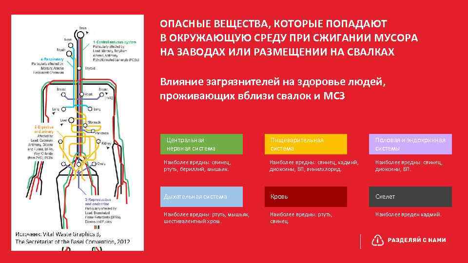 ОПАСНЫЕ ВЕЩЕСТВА, КОТОРЫЕ ПОПАДАЮТ В ОКРУЖАЮЩУЮ СРЕДУ ПРИ СЖИГАНИИ МУСОРА НА ЗАВОДАХ ИЛИ РАЗМЕЩЕНИИ