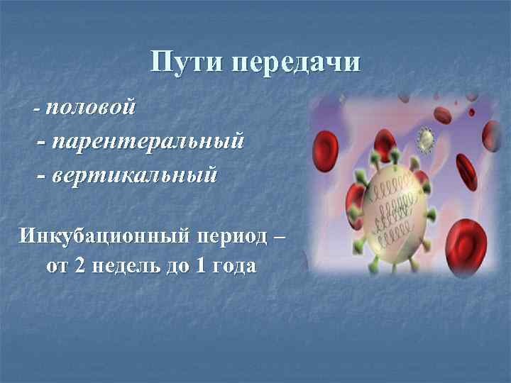 Пути передачи - половой - парентеральный - вертикальный Инкубационный период – от 2 недель