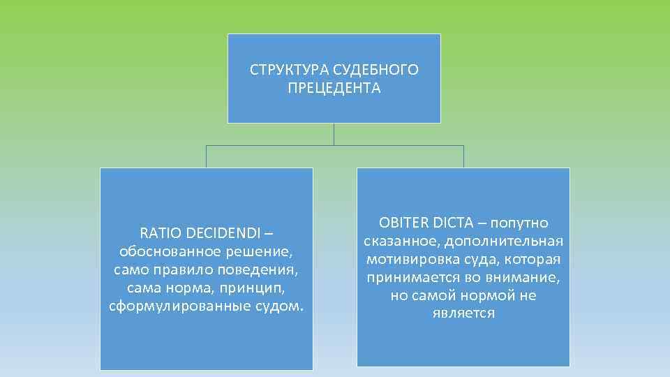 СТРУКТУРА СУДЕБНОГО ПРЕЦЕДЕНТА RATIO DECIDENDI – обоснованное решение, само правило поведения, сама норма, принцип,