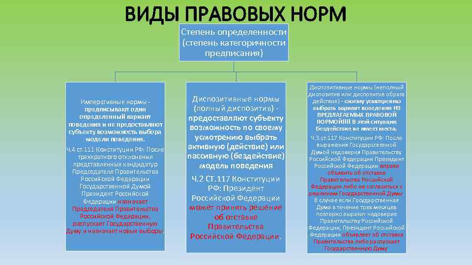 ВИДЫ ПРАВОВЫХ НОРМ Степень определенности (степень категоричности предписания) Императивные нормы предписывают один определенный вариант