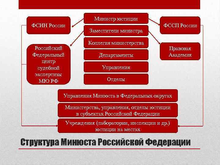 Министр юстиции ФСИН России Российский Федеральный центр судебной экспертизы МЮ РФ Заместители министра Коллегия