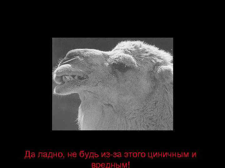 Да ладно, не будь из-за этого циничным и вредным! 