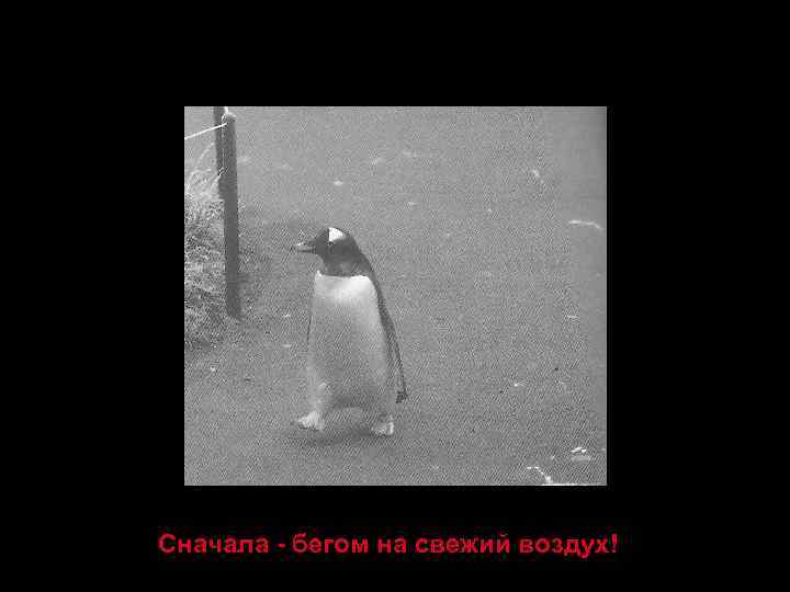 Сначала - бегом на свежий воздух! 