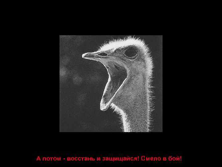 А потом - восстань и защищайся! Смело в бой! 