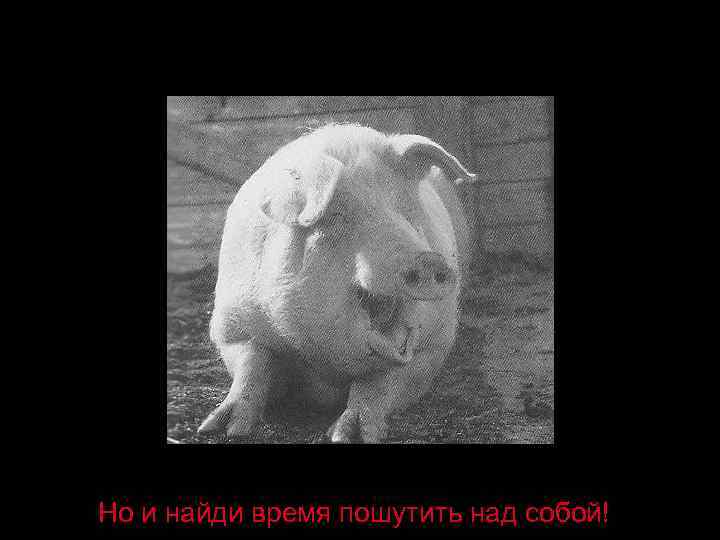 Но и найди время пошутить над собой! 