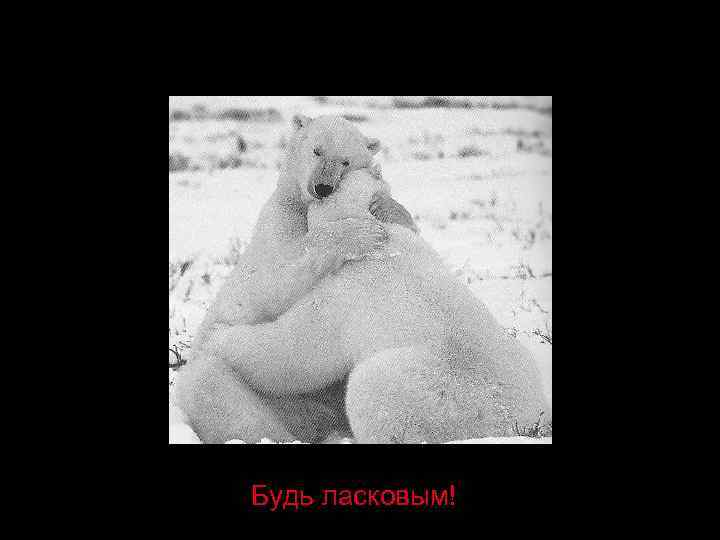 Будь ласковым! 