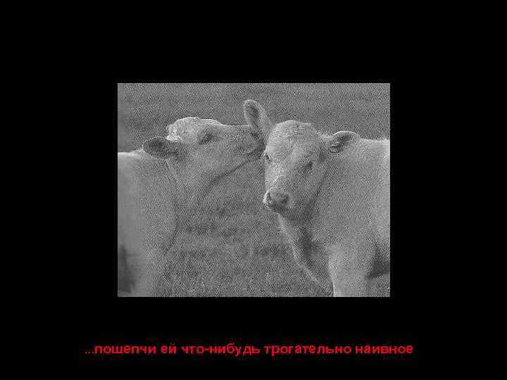 …пошепчи ей что-нибудь трогательно наивное 