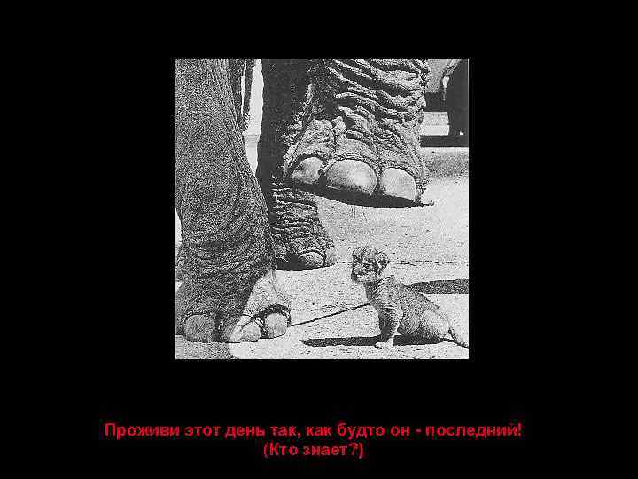 Проживи этот день так, как будто он - последний! (Кто знает? ) 