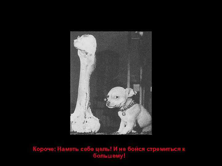 Короче: Наметь себе цель! И не бойся стремиться к большему! 