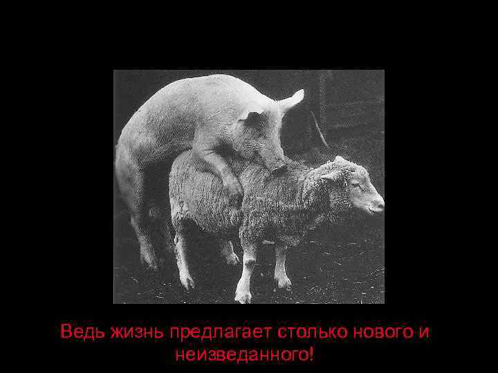 Ведь жизнь предлагает столько нового и неизведанного! 